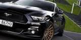 Mustang 2016 do Ślubu od 800 zł, Katowice - zdjęcie 2