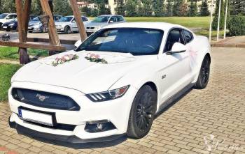 Nowy Mustang do Ślubu! 5.0 GT Premium, Samochód, auto do ślubu, limuzyna Skórcz