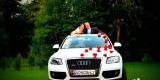 Audi Q5 do ślubu | Auto do ślubu Piotrków Trybunalski, łódzkie - zdjęcie 4