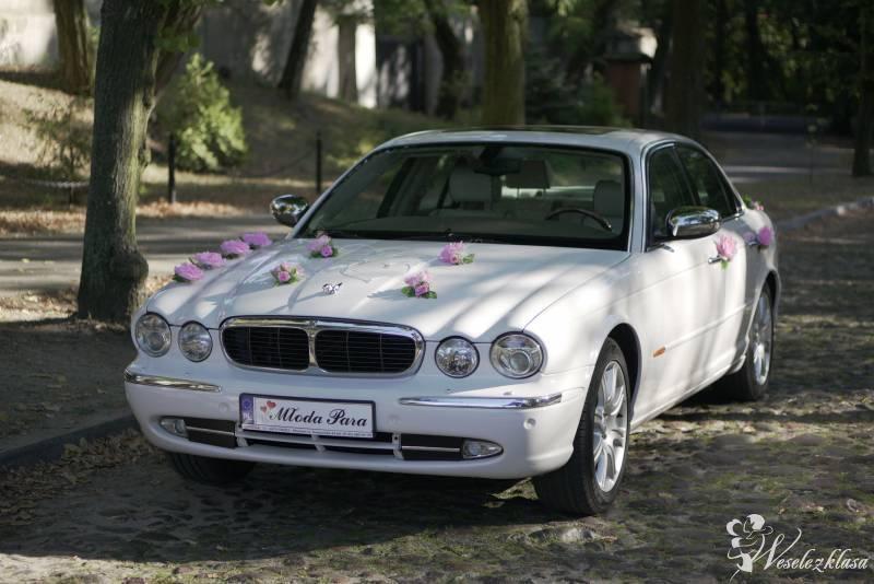 Jaguar XJ Vanden Plas - Auto do ślubu, Łowicz - zdjęcie 1