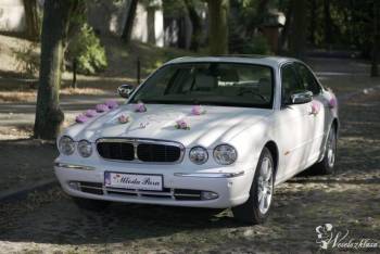 Jaguar XJ Vanden Plas - Auto do ślubu | Auto do ślubu Łowicz, łódzkie