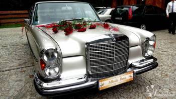 Auto do ślubu zabytkowy Mercedes, Samochód, auto do ślubu, limuzyna Drawno
