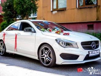 Autobus samochody na wesele Ha-Part | Wynajem busów Rybnik, śląskie