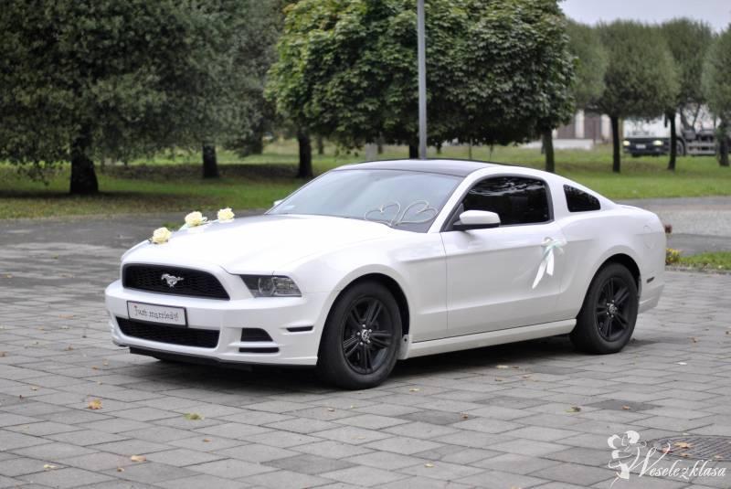 Ford Mustang do Ślubu z 2014r V6 305KM | Auto do ślubu Racibórz, śląskie - zdjęcie 1