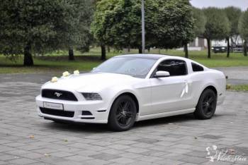 Ford Mustang do Ślubu z 2014r V6 305KM, Samochód, auto do ślubu, limuzyna Racibórz