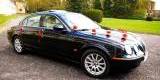 Jaguarem do Ślubu - wynajem samochodu, Leszno - zdjęcie 3