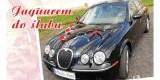 Jaguarem do Ślubu - wynajem samochodu, Leszno - zdjęcie 4
