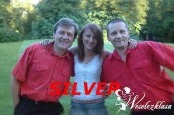 Zespół Muzyczny Silver, Zespoły weselne Błażowa