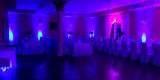 Malachit Decor dekoracje światłem | Dekoracje światłem Jelenia Gora, dolnośląskie - zdjęcie 2