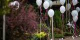 HeLove - Bajkowe dekoracje z balonów | Balony, bańki mydlane Gorzów Wlkp., lubuskie - zdjęcie 2