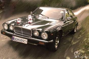 Auto klasyk do ślubu, zabytkowy Jaguar XJ6 SOVEREIGN., Samochód, auto do ślubu, limuzyna Lędziny