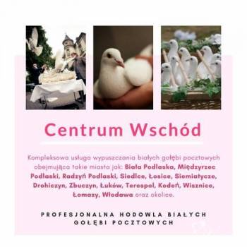 Białe gołębie na ślub | Unikatowe atrakcje Biała Podlaska, lubelskie