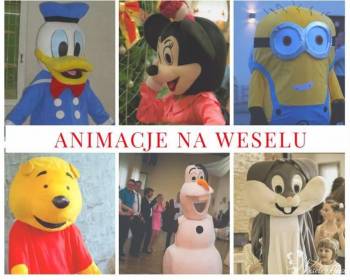 Animacje dla dzieci, animator na weselu, animator dla dzieci | Animator dla dzieci Bielsko-Biała, śląskie