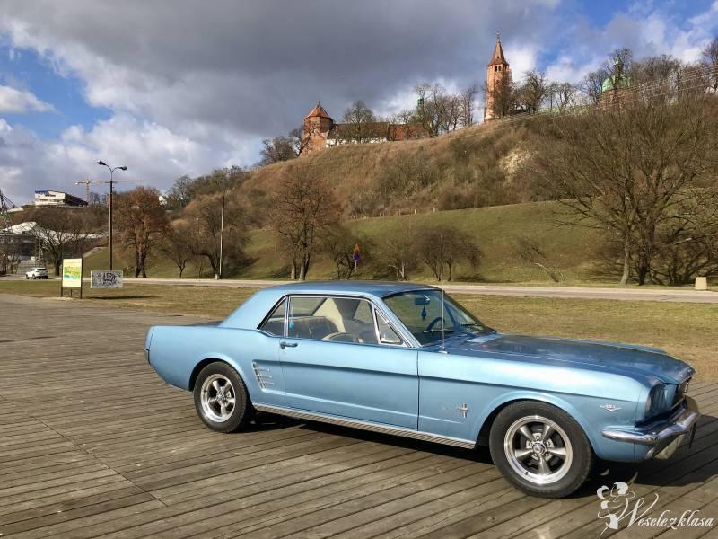 Auto do ślubu Mustang 1966 -4,7-V8 | Auto do ślubu Płock, mazowieckie - zdjęcie 1