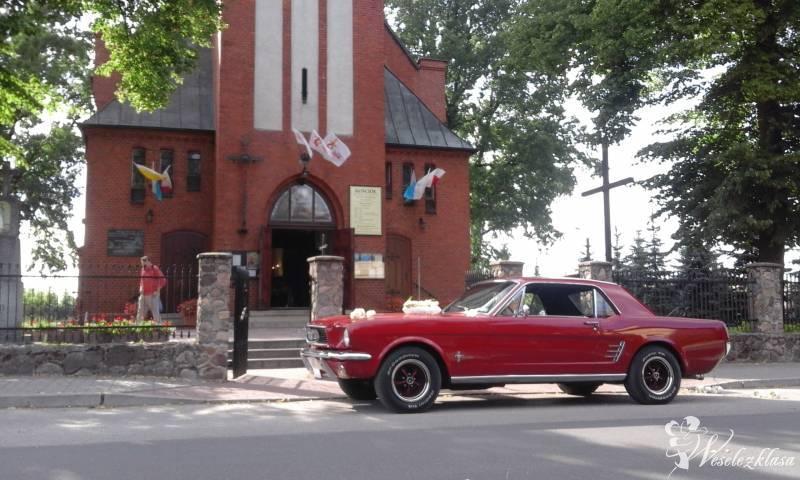 Ford Mustang 1965 V8, Cadillac De Ville 1973 V8, Oldsmobile Rocket 8, Łochowo - zdjęcie 1