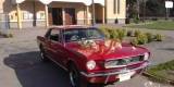 Ford Mustang, Cadillac De Ville | Auto do ślubu Łochowo, kujawsko-pomorskie - zdjęcie 6