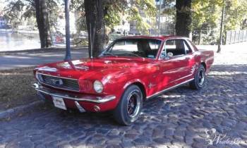 Ford Mustang, Cadillac De Ville | Auto do ślubu Łochowo, kujawsko-pomorskie
