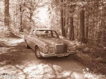 Mercedes W-108 limuzyna z lat 60-tych do wynajęcia, Samochód, auto do ślubu, limuzyna Prabuty
