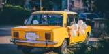 Piękny duży Fiat 125p z legenda PRL 1973 roku w kolorze Yellow Bahama! | Auto do ślubu Leszno, wielkopolskie - zdjęcie 4