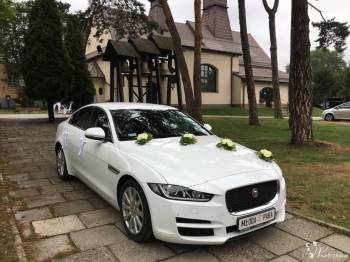 Jaguar do ślubu Jaguar XE Prestige, Samochód, auto do ślubu, limuzyna Kraków