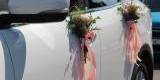 Kwiaciarnia Bonsai | Bukiety ślubne Siedlce, mazowieckie - zdjęcie 5