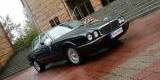 Jaguar XJ Sovereign do ślubu, Gliwice - zdjęcie 5