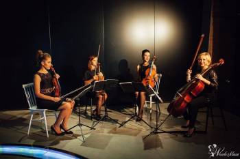 Kwartet Smyczkowy The Sound Quartet, Oprawa muzyczna ślubu Bystrzyca Kłodzka