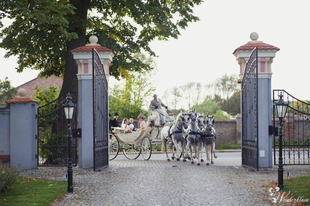 Powóz konny Caratella z końmi | Bryczka do ślubu Małachowo, wielkopolskie - zdjęcie 1