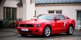 Czerwony Ford Mustang | Auto do ślubu Gdańsk, pomorskie - zdjęcie 3