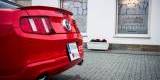 Czerwony Ford Mustang | Auto do ślubu Gdańsk, pomorskie - zdjęcie 6