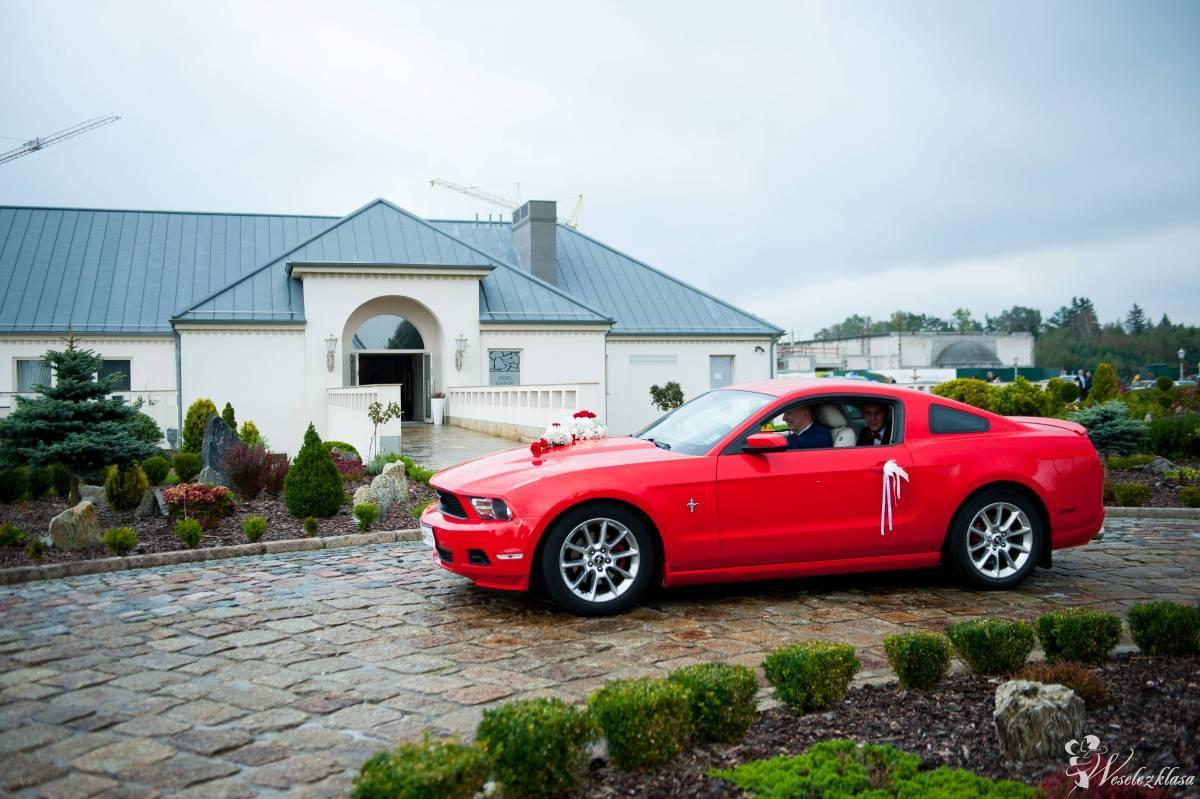 Mustangiem do ślubu Ford Mustang, Gdynia - zdjęcie 1