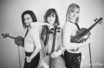 Oprawa muzyczna ślubu - Beatgirls String Trio , Skrzypce, Oprawa muzyczna ślubu Cybinka