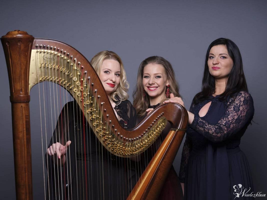 Trio Lyrico HARFA KONCERTOWA ŚPIEW SKRZYPCE, Poznań - zdjęcie 1