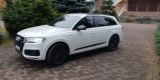 Samochód do ślubu Audi Q7 II 50 TDI quattro EXCLUSIVE auto 2018r biały, Częstochowa - zdjęcie 2