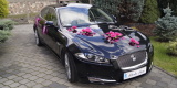 Samochód do Ślubu, Jaguar XF i wiele innych | Auto do ślubu Ruda Śląska, śląskie - zdjęcie 2