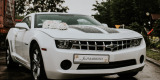 Chevrolet Camaro ! Auto do ślubu ! | Auto do ślubu Jastrzębie-Zdrój, śląskie - zdjęcie 2