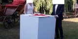 pudło z balonami z helem, balony hel na ślub, balony led, prezent ślub, Kórnik - zdjęcie 2