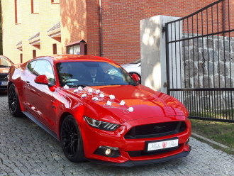 LEGENDA AMERYKAŃSKIEJ MOTORYZACJI FORD MUSTANG GT NA ŚLUB | Auto do ślubu Szczecin, zachodniopomorskie