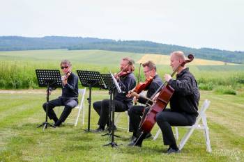 Opole Quartet - kwartet smyczkowy | Oprawa muzyczna ślubu Opole, opolskie