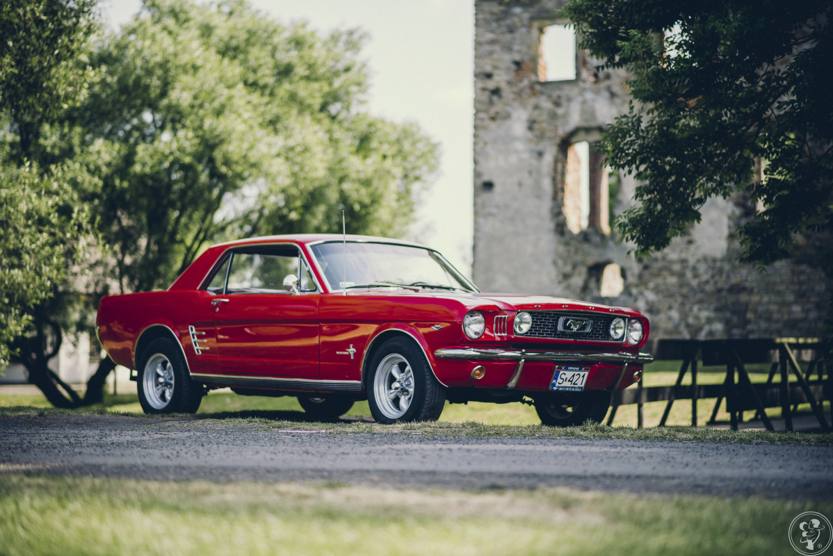 Ford Mustang 1966 r.- SpecialCars, Katowice - zdjęcie 1