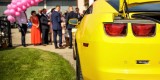 Camaro do ślubu Transformers Bumblebee auto do ślubu auto na wesele, Kielce - zdjęcie 7
