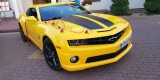 Camaro do ślubu Transformers Bumblebee auto do ślubu auto na wesele, Kielce - zdjęcie 8