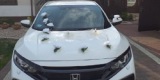Piękny biały samochód do ślubu | Auto do ślubu Bełchatów, łódzkie - zdjęcie 2