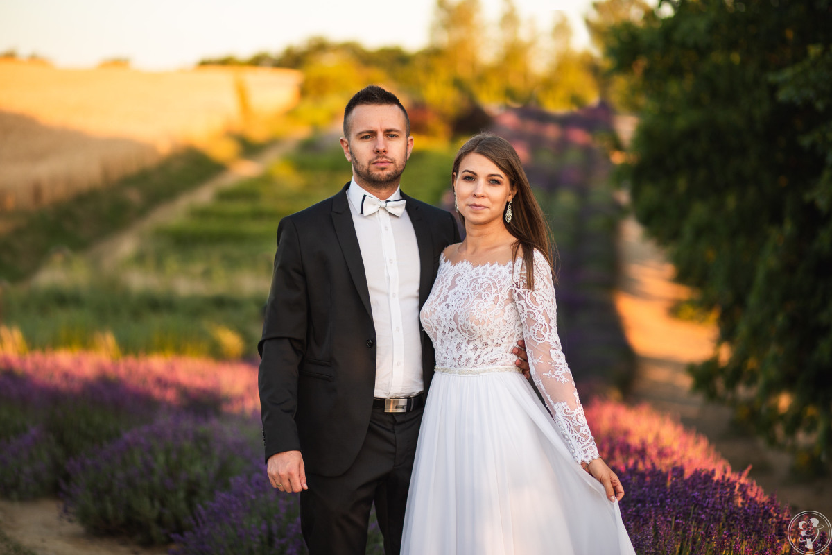 AFotografia - Profesjonalna naturalna fotografia, Tychy - zdjęcie 1