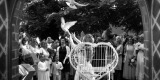 gm-foto. Fotografia i film ślubny | Fotograf ślubny Goleniów, zachodniopomorskie - zdjęcie 5