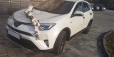 500 zł Toyota RAV4 hybryda, biała perła do ślubu (cena już z wystrojem, Wieluń - zdjęcie 2