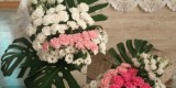 Dekoracje ślubne, florystyczne KWINTESENCJA, Szczecin - zdjęcie 4