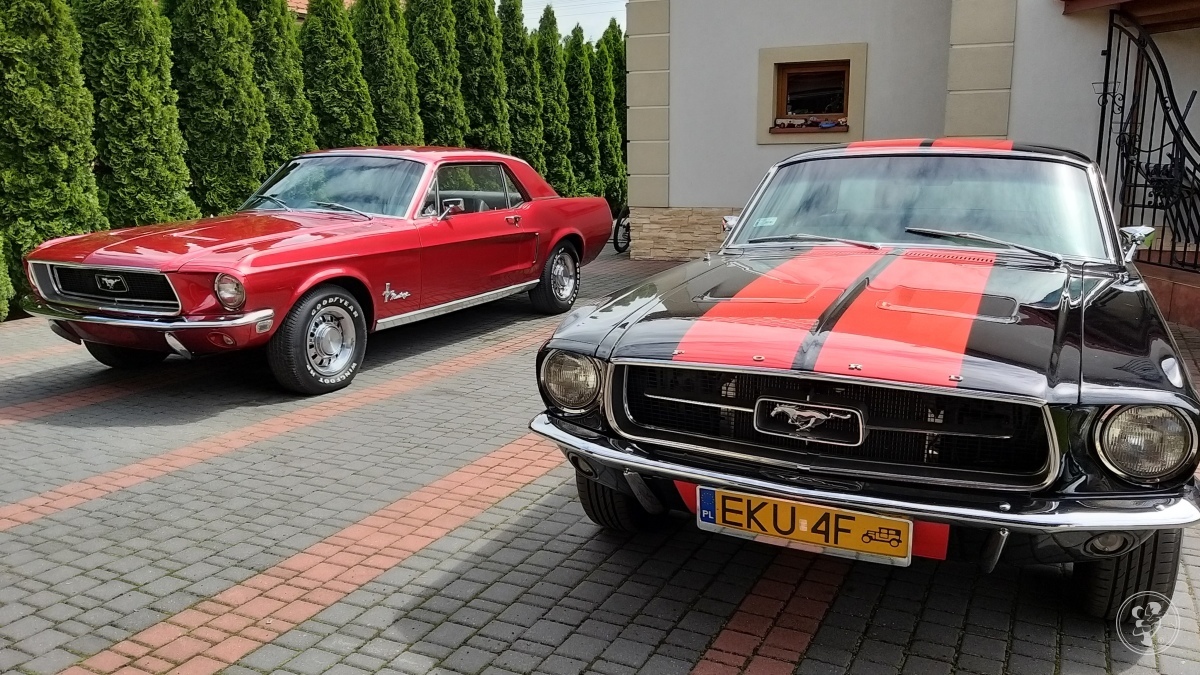 2x Ford Mustang 1967 V8, Kutno - zdjęcie 1
