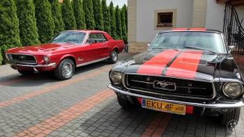 2x Ford Mustang 1967 V8, Samochód, auto do ślubu, limuzyna Kutno