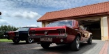 2x Ford Mustang 1967 V8 | Auto do ślubu Kutno, łódzkie - zdjęcie 2